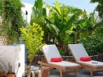 Loungers Loungers